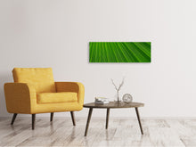 Load image into Gallery viewer, Panoramic Canvas Print Palm stripe 1