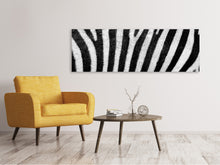 Load image into Gallery viewer, Panoramic Canvas Print Strip of the zebra