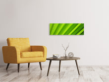 Load image into Gallery viewer, Panoramic Canvas Print Palm stripes 2