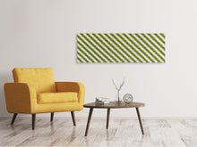 Load image into Gallery viewer, Panoramic Canvas Print Strip of cloth