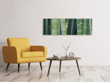 Load image into Gallery viewer, Panoramic Canvas Print Bamboo in XXL
