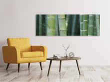 Load image into Gallery viewer, Panoramic Canvas Print Bamboo in XXL