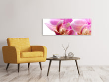 Load image into Gallery viewer, Panoramic Canvas Print Magnificent phalaenopsis