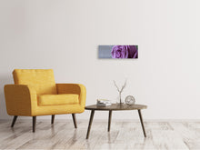 Load image into Gallery viewer, Panoramic Canvas Print Rose in purple XXL