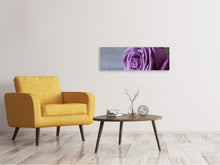 Load image into Gallery viewer, Panoramic Canvas Print Rose in purple XXL