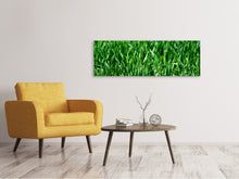 Load image into Gallery viewer, Panoramic Canvas Print The meadow in XL