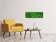 Load image into Gallery viewer, Panoramic Canvas Print The meadow in XL