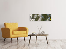 Load image into Gallery viewer, Panoramic Canvas Print Ornamental grasses in XL