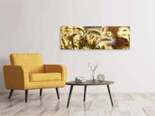 Load image into Gallery viewer, Panoramic Canvas Print Ornamental grass in the sunlight