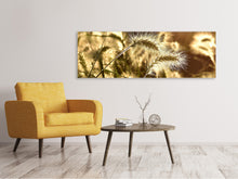 Load image into Gallery viewer, Panoramic Canvas Print Ornamental grass in the sunlight