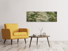 Load image into Gallery viewer, Panoramic Canvas Print Ornamental grass in the wind