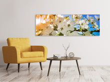 Load image into Gallery viewer, Panoramic Canvas Print The apple tree blossom