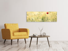 Load image into Gallery viewer, Panoramic Canvas Print A poppy