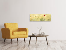 Load image into Gallery viewer, Panoramic Canvas Print A poppy