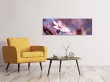 Load image into Gallery viewer, Panoramic Canvas Print Close up cherry blossom
