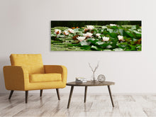 Load image into Gallery viewer, Panoramic Canvas Print A field full of water lilies