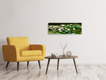 Load image into Gallery viewer, Panoramic Canvas Print A field full of water lilies