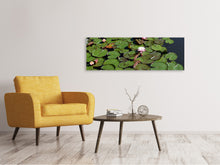 Load image into Gallery viewer, Panoramic Canvas Print White water lilies in the pond