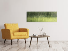 Load image into Gallery viewer, Panoramic Canvas Print Satined glass