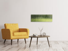 Load image into Gallery viewer, Panoramic Canvas Print Satined glass