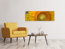 Load image into Gallery viewer, Panoramic Canvas Print Inflorescence of a sunflower