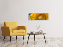 Load image into Gallery viewer, Panoramic Canvas Print Inflorescence of a sunflower