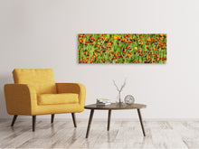 Load image into Gallery viewer, Panoramic Canvas Print hawkweeds