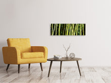 Load image into Gallery viewer, Panoramic Canvas Print Fresh bamboo