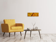 Load image into Gallery viewer, Panoramic Canvas Print The autumn leaf