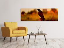 Load image into Gallery viewer, Panoramic Canvas Print The crow in the evening light