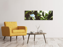 Load image into Gallery viewer, Panoramic Canvas Print In the middle of the jungle