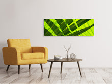 Load image into Gallery viewer, Panoramic Canvas Print The palm leaf in XL