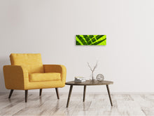 Load image into Gallery viewer, Panoramic Canvas Print The palm leaf in XL