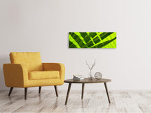 Load image into Gallery viewer, Panoramic Canvas Print The palm leaf in XL