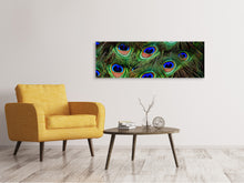 Load image into Gallery viewer, Panoramic Canvas Print Peacock feathers XXL