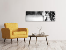 Load image into Gallery viewer, Panoramic Canvas Print Birch trunk