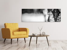 Load image into Gallery viewer, Panoramic Canvas Print Birch trunk