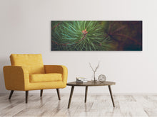 Load image into Gallery viewer, Panoramic Canvas Print Pine tree close up