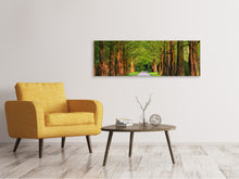 Load image into Gallery viewer, Panoramic Canvas Print Beautiful avenue in nature