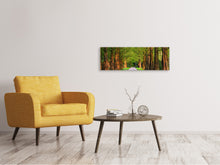 Load image into Gallery viewer, Panoramic Canvas Print Beautiful avenue in nature