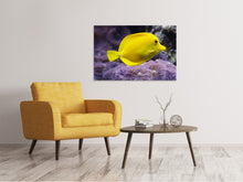 Load image into Gallery viewer, Canvas print The lemon-doctor fish