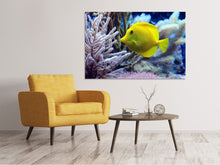 Load image into Gallery viewer, Canvas print Yellow doctor fish XL