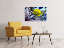 Load image into Gallery viewer, Canvas print Yellow doctor fish XL