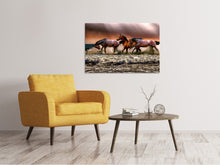 Load image into Gallery viewer, Canvas print Freedom for horses