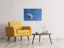 Load image into Gallery viewer, Canvas print Dandelion - I wish for something