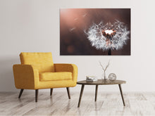 Load image into Gallery viewer, Canvas print Dandelion in the evening light