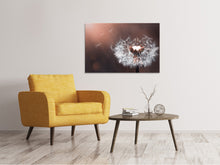 Load image into Gallery viewer, Canvas print Dandelion in the evening light