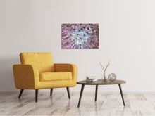 Load image into Gallery viewer, Canvas print Dandelion in the light play