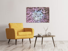Load image into Gallery viewer, Canvas print Dandelion in the light play
