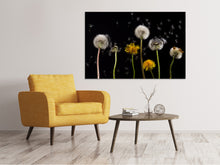 Load image into Gallery viewer, Canvas print The phases of dandelion